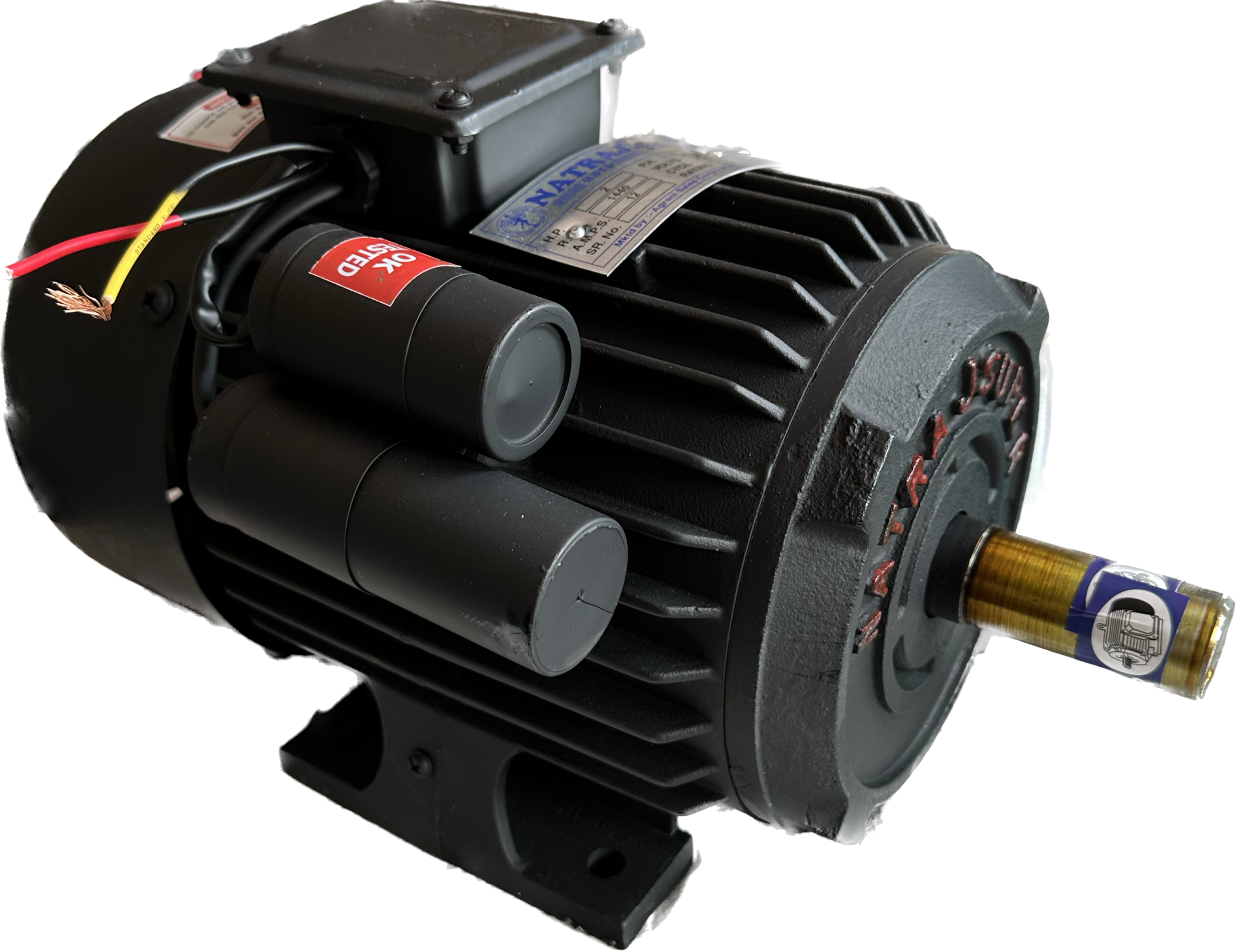 Electric Motor NATRAJ SUPER